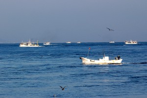 以前の取材で撮影した大間のマグロ漁船群。